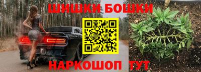стаф Абакан
